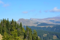 1DSC_0936